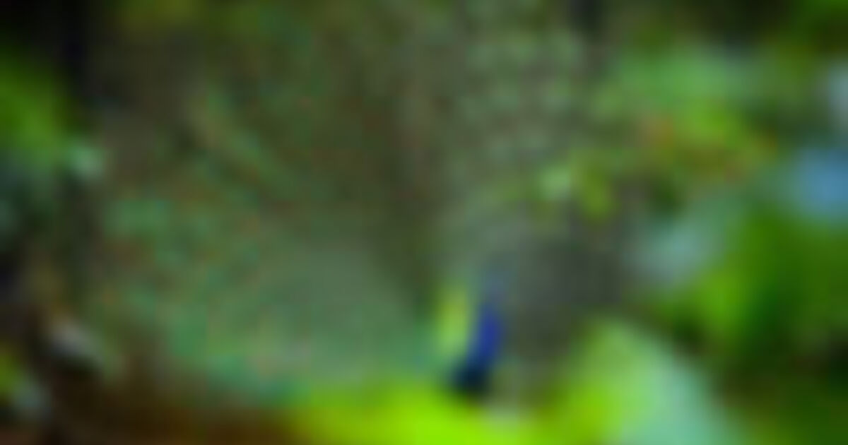 A Day of Animal Magic: Farm Visits Near Tarascon-sur-Ariège