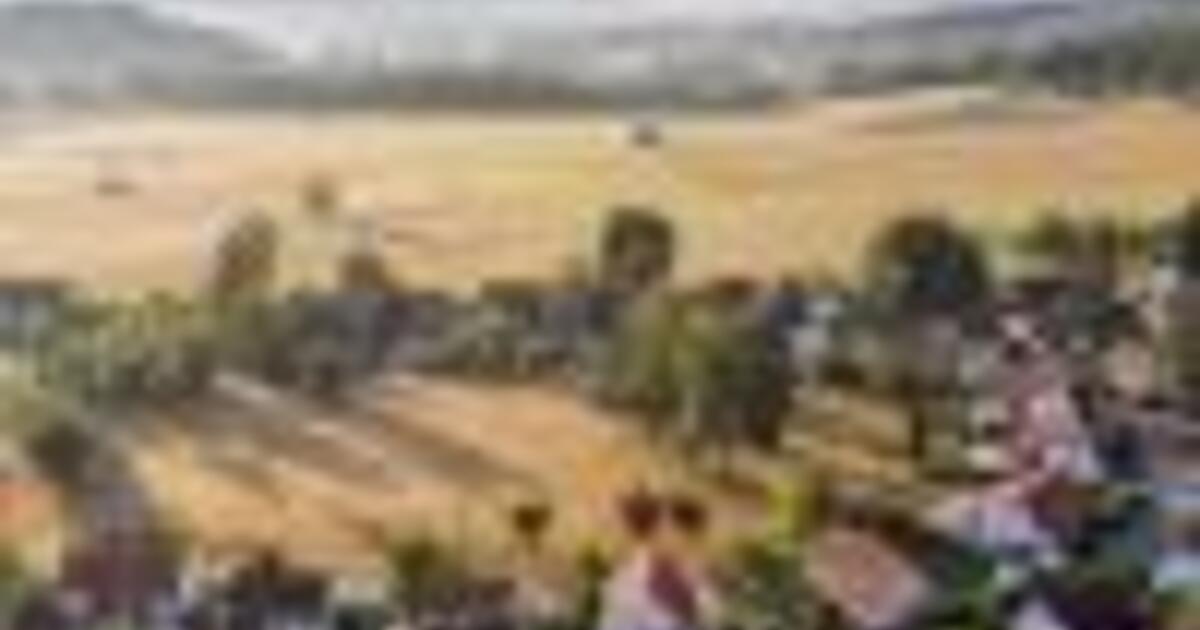 Artistic Echoes in Montbrun-Bocage: A Celebration of Local Talent