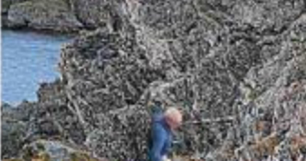 Artistic Expressions: Daniel ALDA's Photography Exhibition in Pamiers