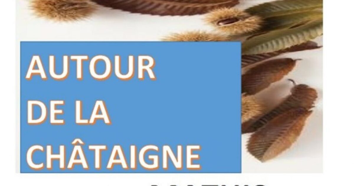 Dance the Night Away: A Traditional Ball in Bénac