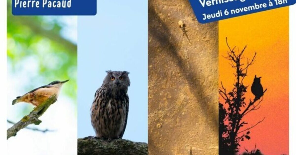 Discover Wild Worlds: A Photographic Journey in Cos