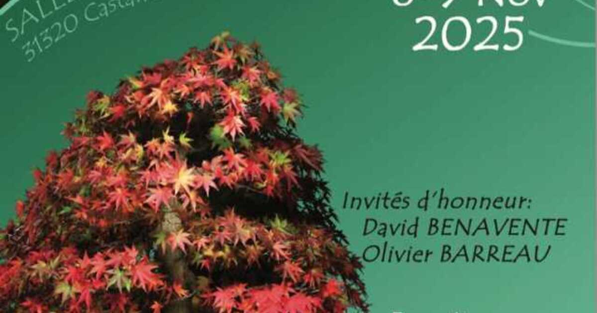 Discover the Art of Bonsai in Castanet-Tolosan