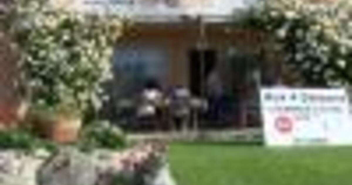 Discover the Delights of Laroque d'Olmes Market