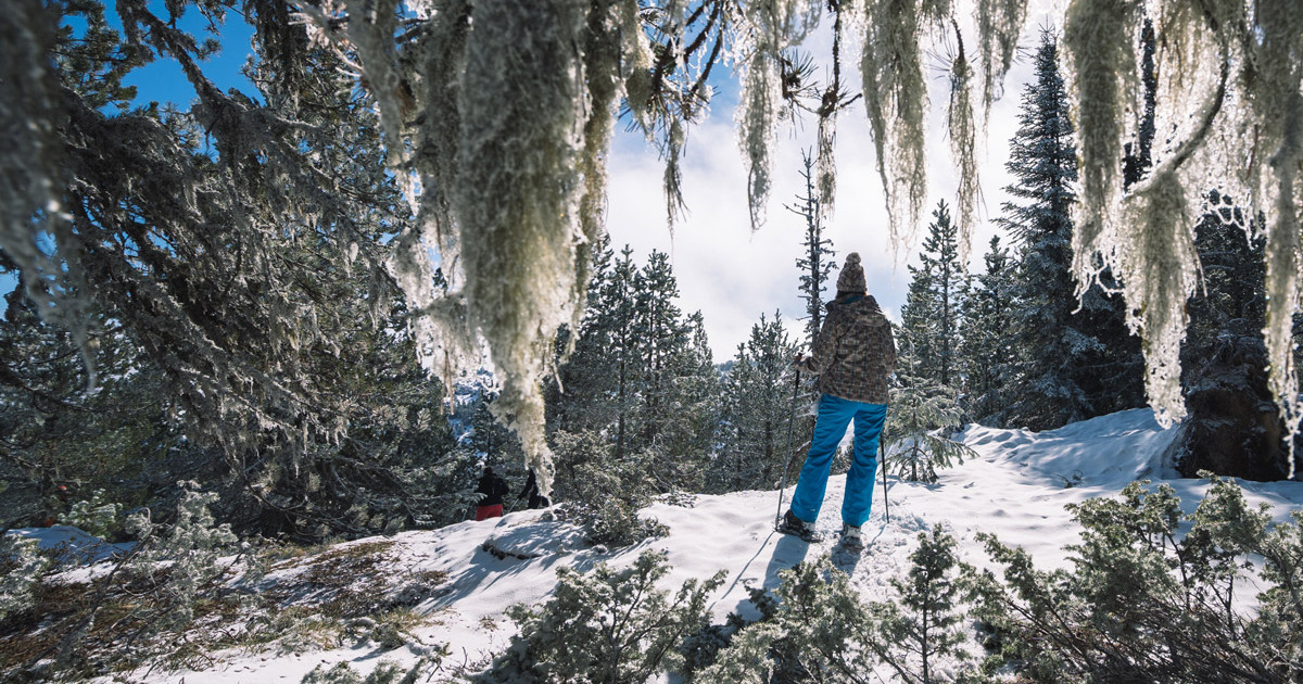Discover the Magic of Snowshoeing in the Ariège Pyrenees