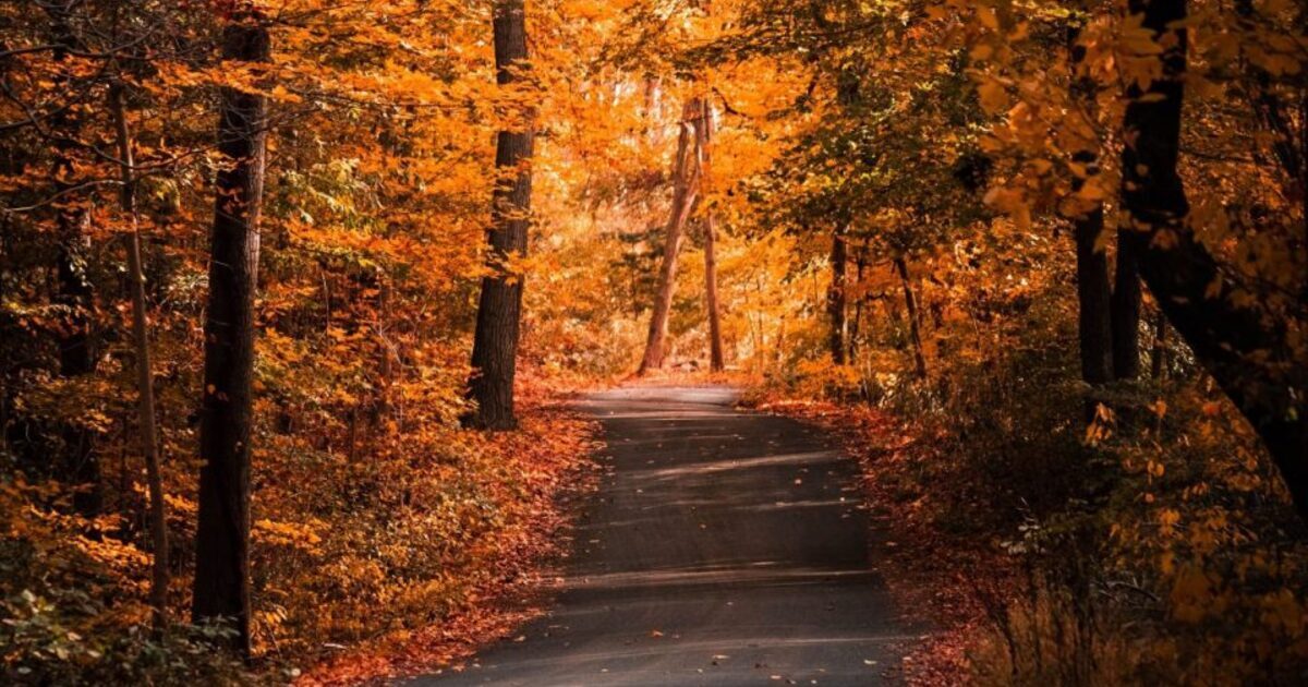 Discover the magic of Autumn in the Ariège Pyrenees