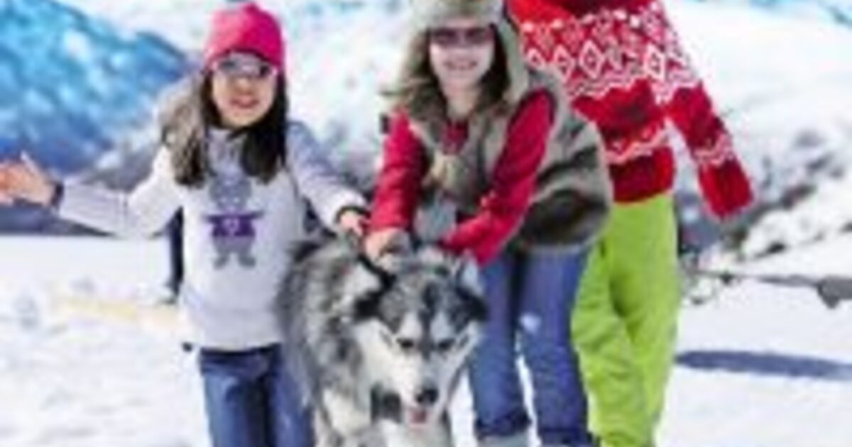 Experience Winter Wonderland: Webcams of Chioula