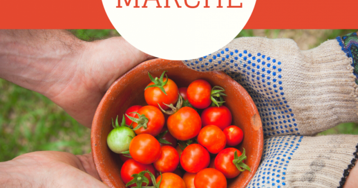 Friday Farm Market Delights in Campagne-sur-Arize