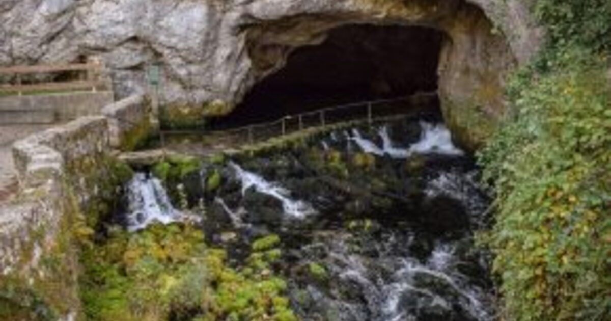 Step Back in Time: A Family Adventure at the Prehistory Park