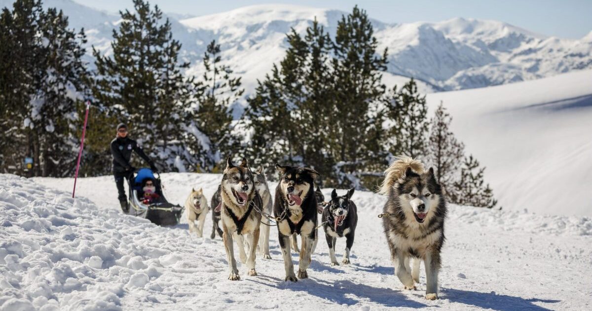 Unforgettable Family Snow Escapes in the Ariège Pyrenees